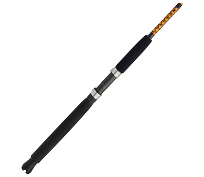 Canne Conventionnelle Ugly Stik Bigwater